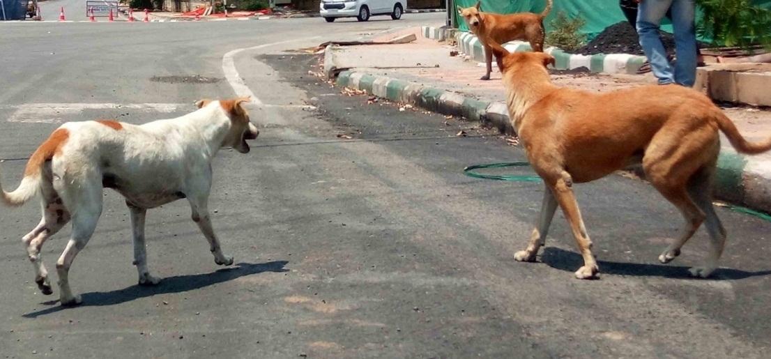 महाराष्ट्र: